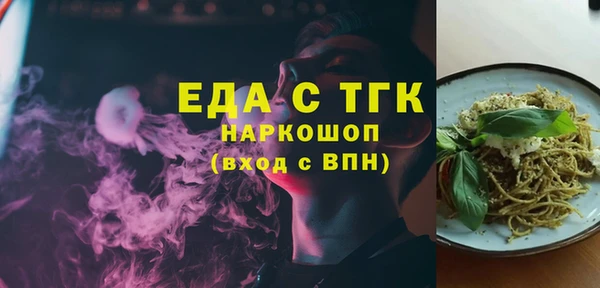 мдпв Каменногорск