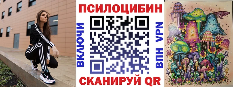 Галлюциногенные грибы MAGIC MUSHROOMS  Купить закладки  Торжок 