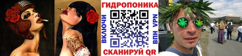Купить закладки  Торжок  Бошки Шишки индика 
